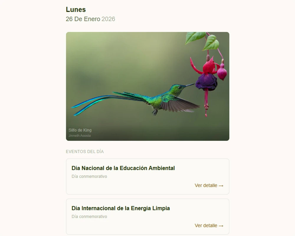 Curaduría editorial