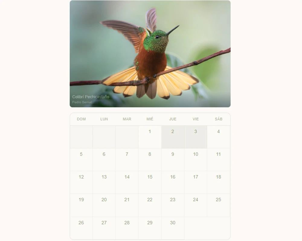 Actualizaciones vivas