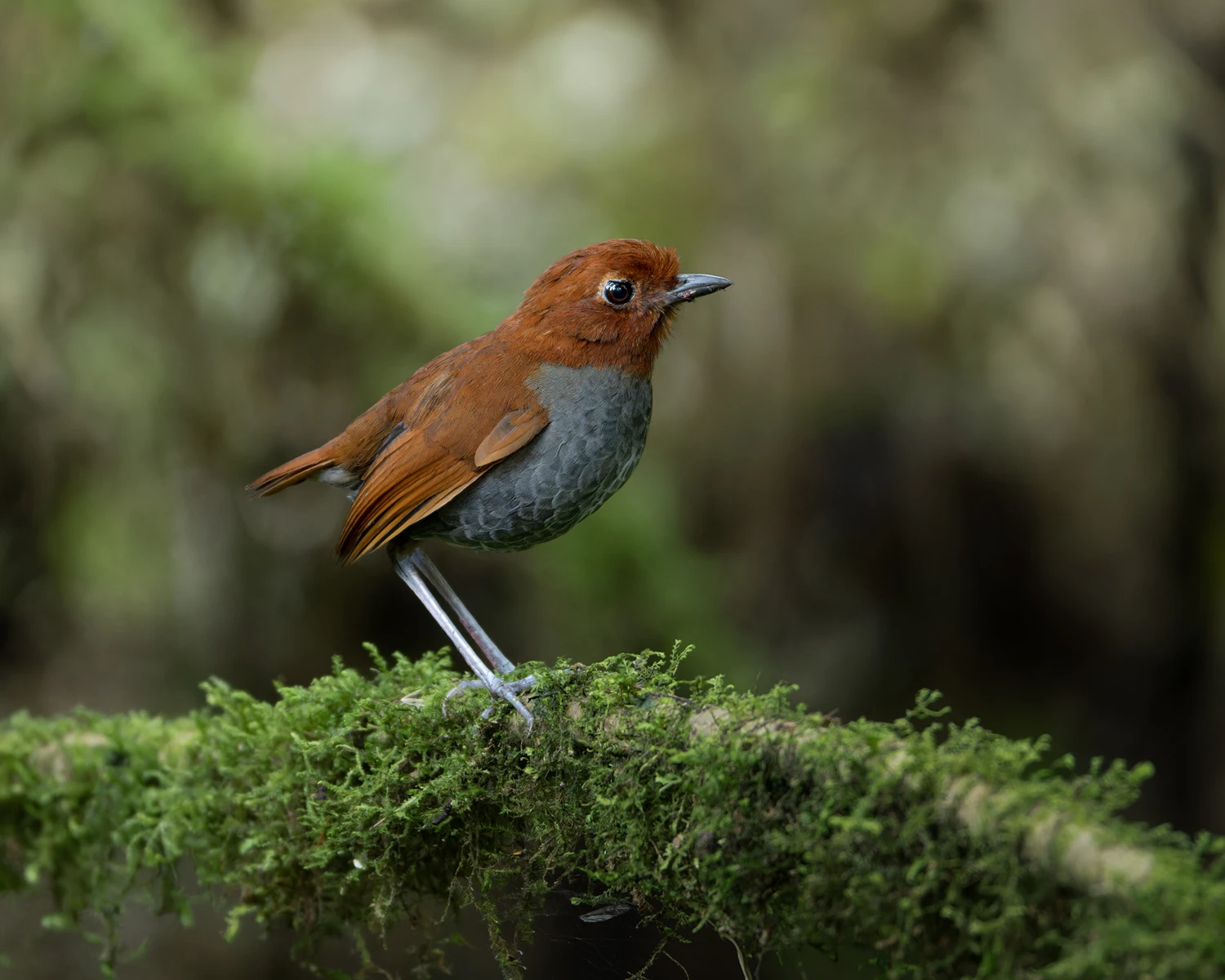 Quiet territory for final days 3