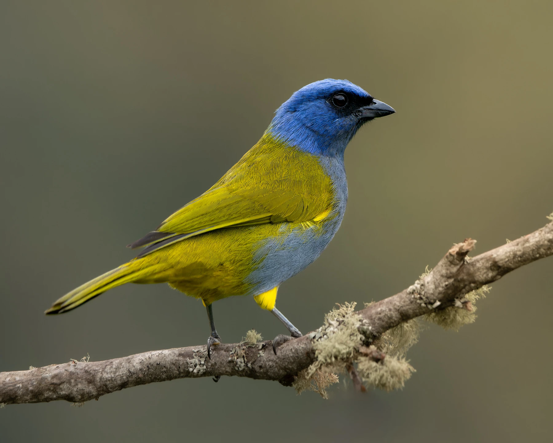 Quiet territory for final days 1