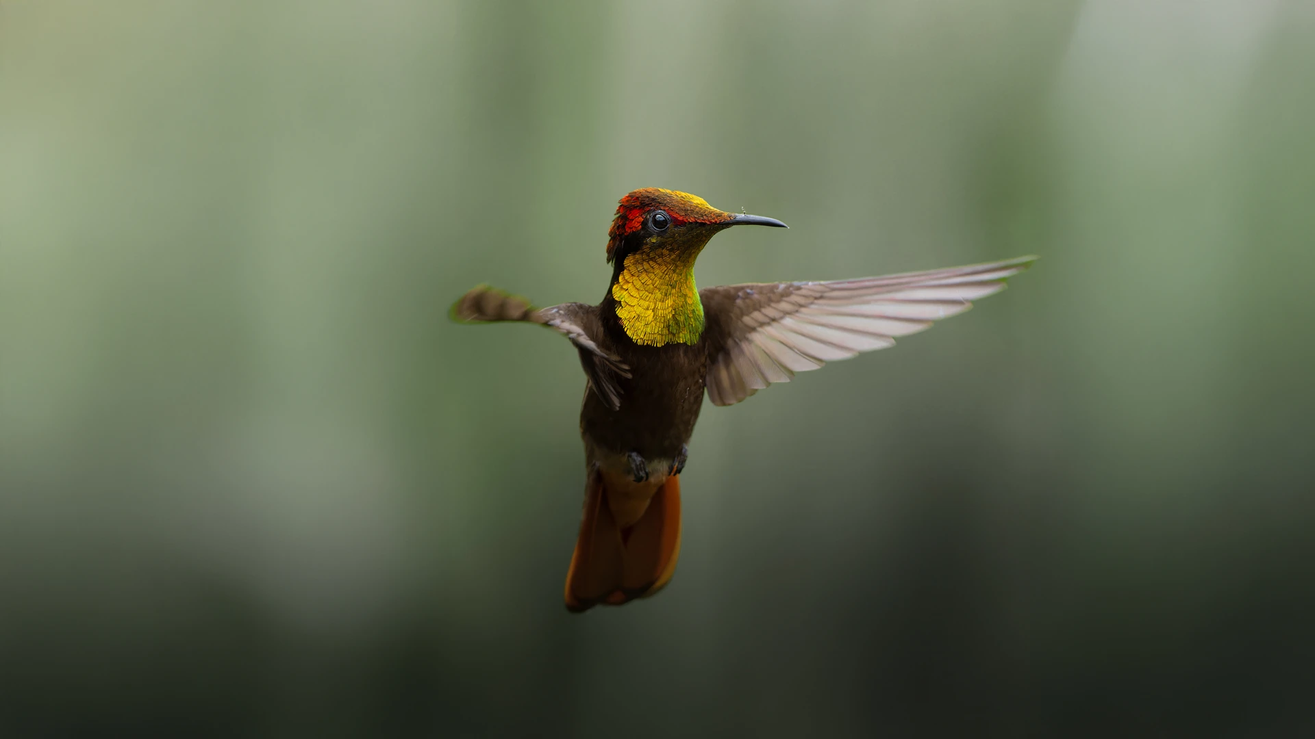 Nature photography education in the field