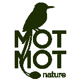 Motmot Nature