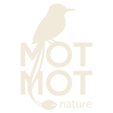 Motmot Nature